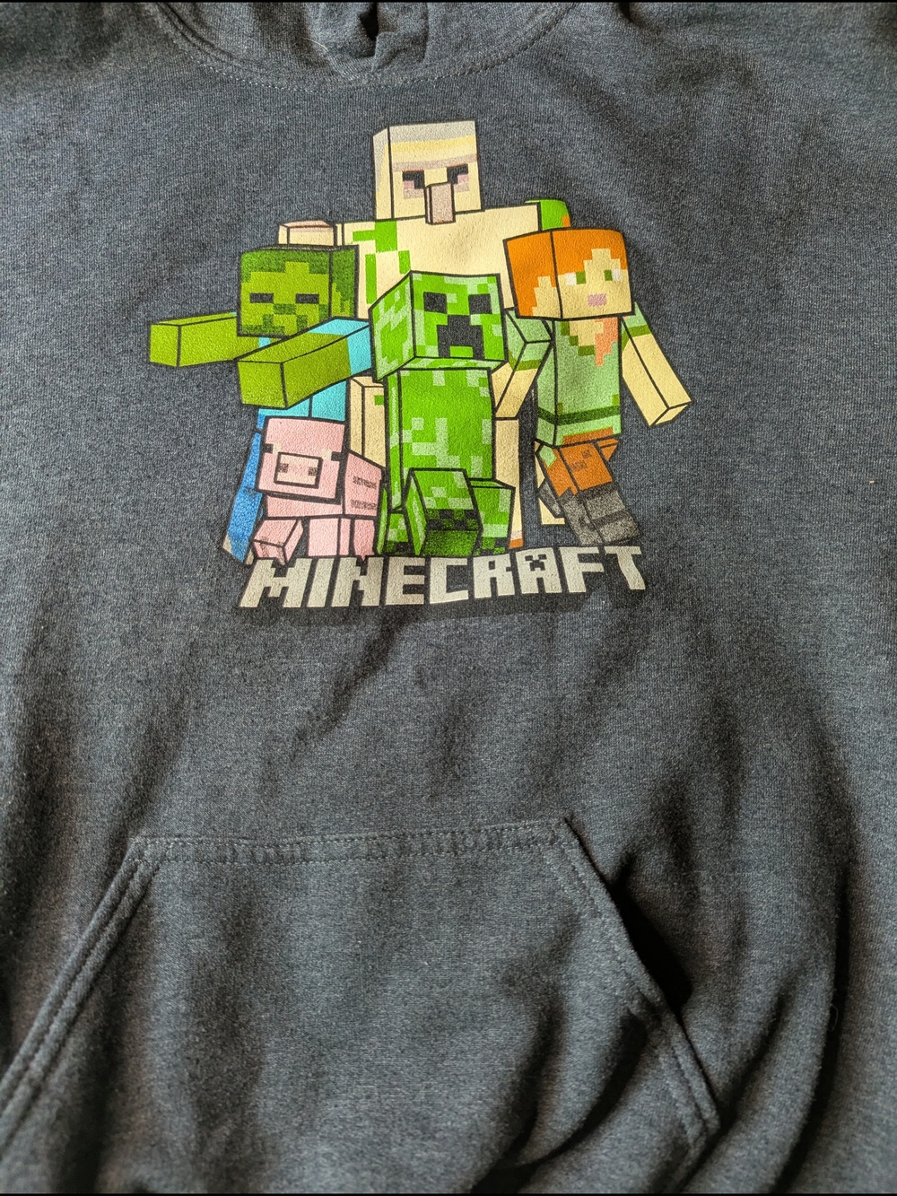 Minecraft Hooded Kids Sweatshirt